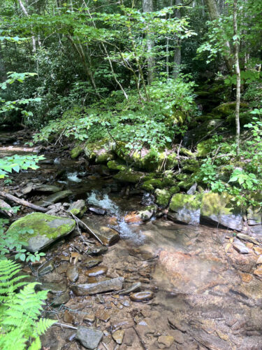 Upper Pine Bottom is just off  the road.  That’s it’s charm